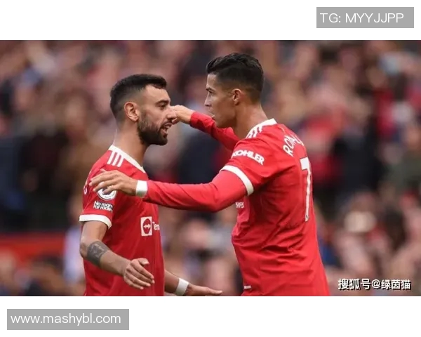 巴恩斯利与布拉德福德激战正酣比赛结果揭晓引发球迷热议